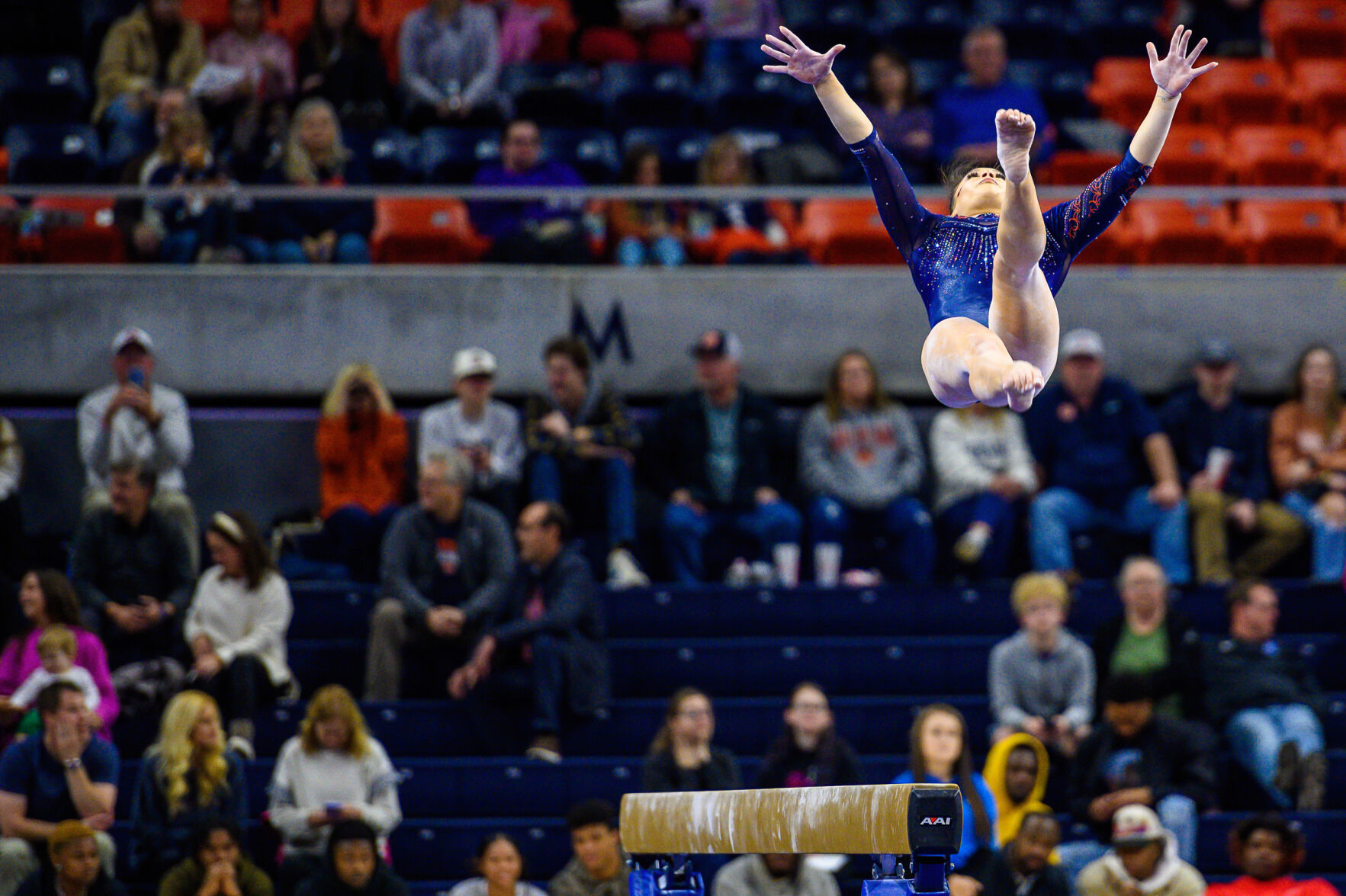 Auburn Gymnastics preview meet